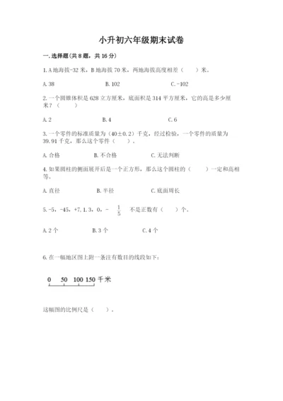 小升初六年级期末试卷（全优）word版.docx