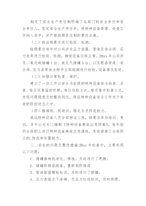 特种设备自检自查报告.docx