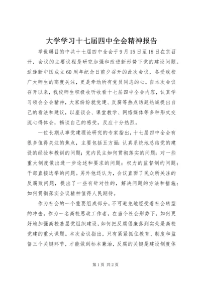 大学学习十七届四中全会精神报告.docx