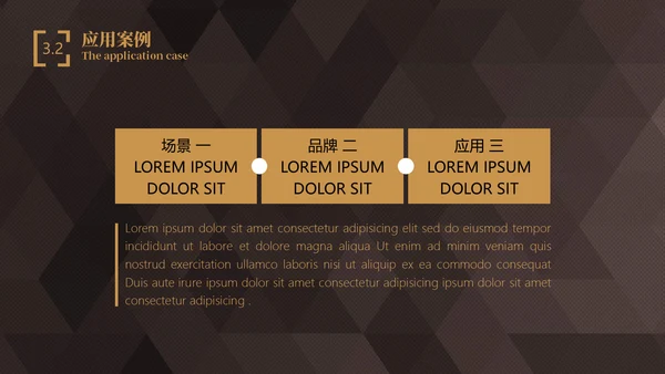 轻奢质感商业项目计划书通用PPT模板