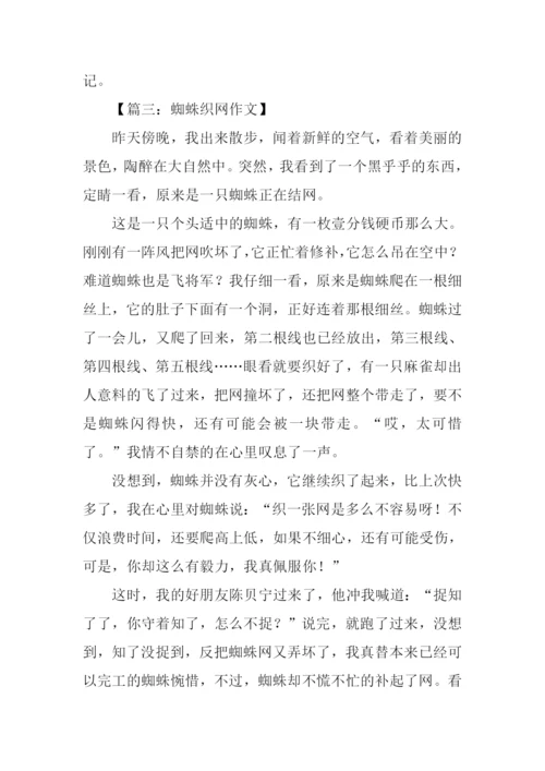 蜘蛛织网作文500字.docx