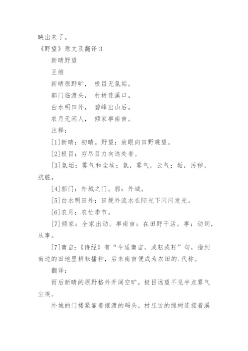 《野望》原文及翻译.docx