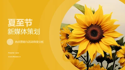 夏至节新媒体策划