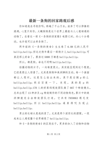 最新一条狗的回家路观后感.docx