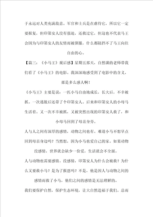 小马王电影观后感作文