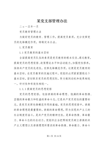 某党支部管理办法.docx