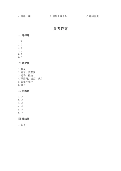 教科版二年级上册科学期末测试卷及完整答案（历年真题）.docx