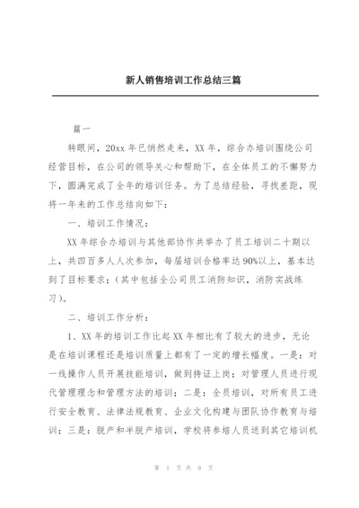 新人销售培训工作总结三篇.docx