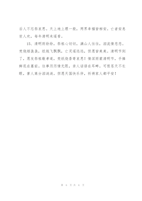 小学生清明节寄语.docx