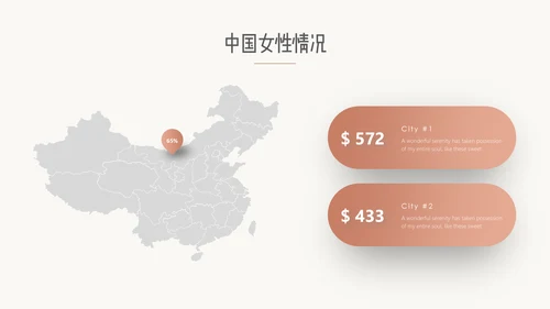 高端母婴产品推广通用PPT模板