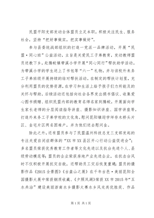 民盟支部工作总结 (2).docx