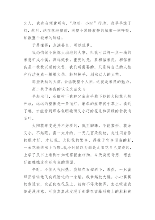 高二关于善良的议论文范文8篇精编.docx