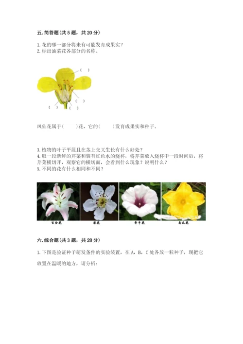 教科版科学四年级下册第一单元《植物的生长变化》测试卷精品（模拟题）.docx