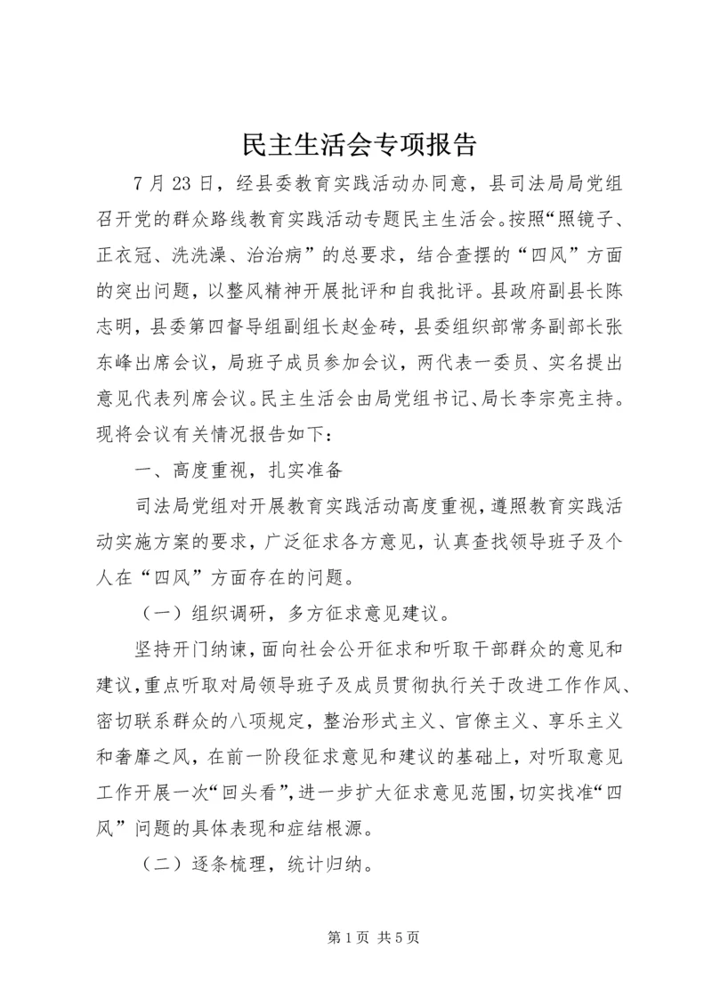 民主生活会专项报告.docx