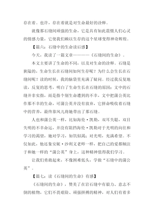 石缝间的生命读后感300字.docx