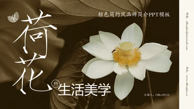 棕色简约风荷花元素品牌简介PPT模板