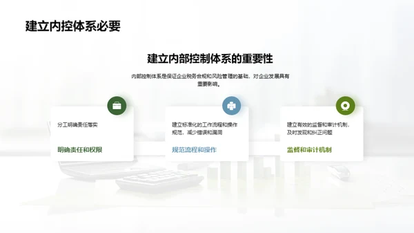 税务筹划和合规管理
