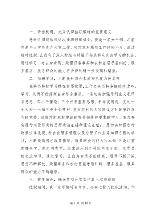 乡镇挂职干部工作计划.docx