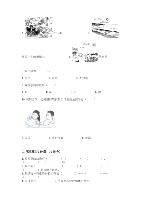 教科版一年级下册科学期末测试卷及参考答案（综合题）.docx