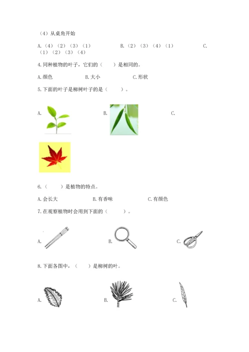 教科版一年级上册科学期末测试卷附答案【培优b卷】.docx