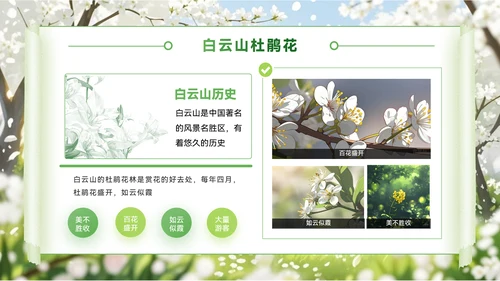 绿色创意风节PPT模板_赏花季的浪漫旅行地PPT模板