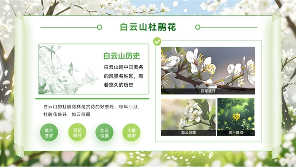绿色创意风节PPT模板_赏花季的浪漫旅行地PPT模板