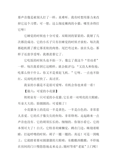 小花猫的作文.docx