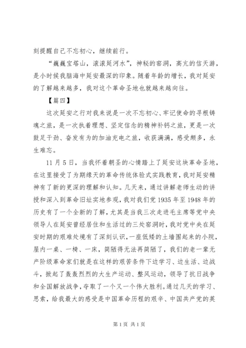 延安红色教育学习心得体会5篇.docx