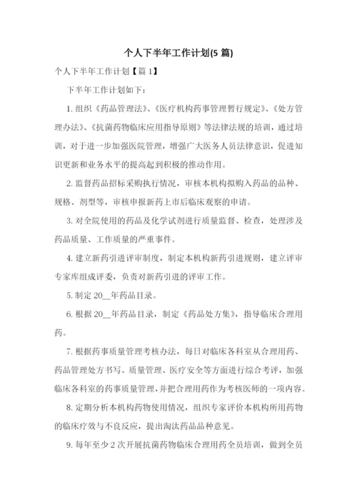 个人下半年工作计划(5篇).docx