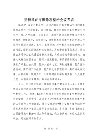 县领导在打黑除恶整治会议发言.docx