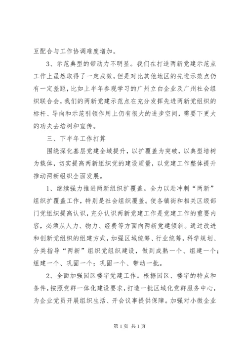 两新组织党建工作上半年工作总结及下半年工作计划.docx