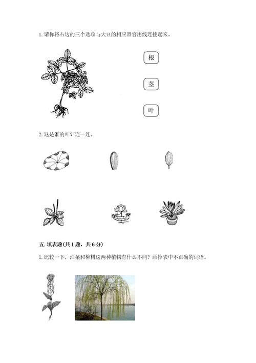 教科版科学一年级上册第一单元《植物》测试卷含答案（达标题）