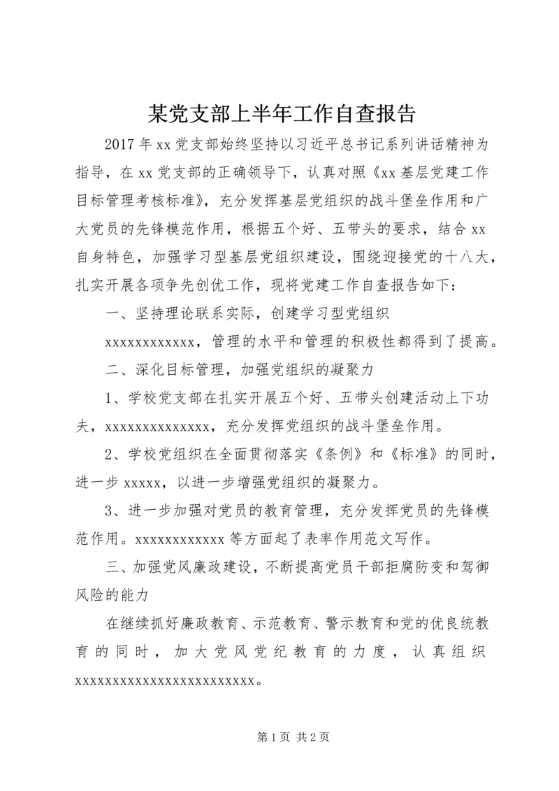 某党支部上半年工作自查报告.docx