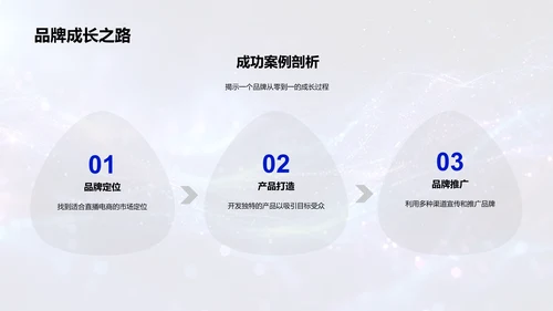直播电商运营策略