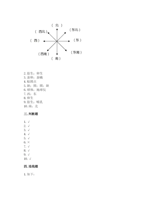 教科版科学三年级下册 期末测试卷（培优）.docx