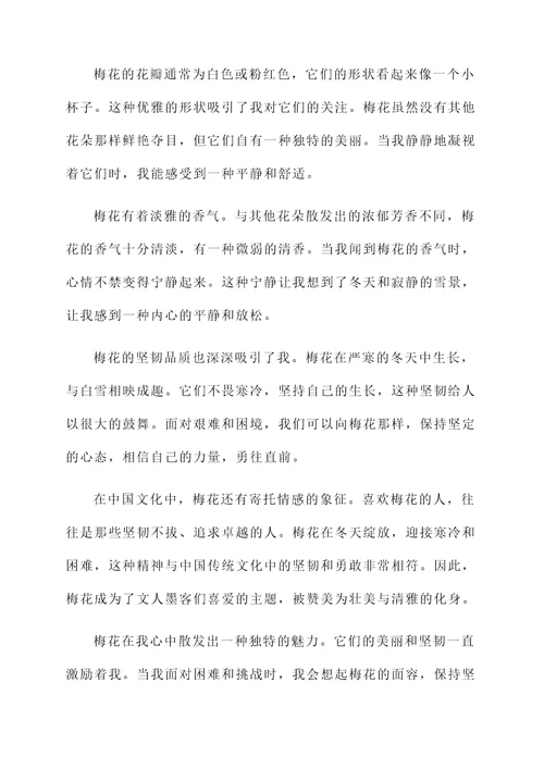 看了梅花的感想