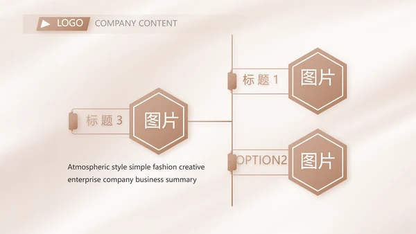 大气医美微整形宣传工作总结PPT