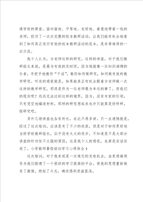 小学教师暑假培训学习心得体会