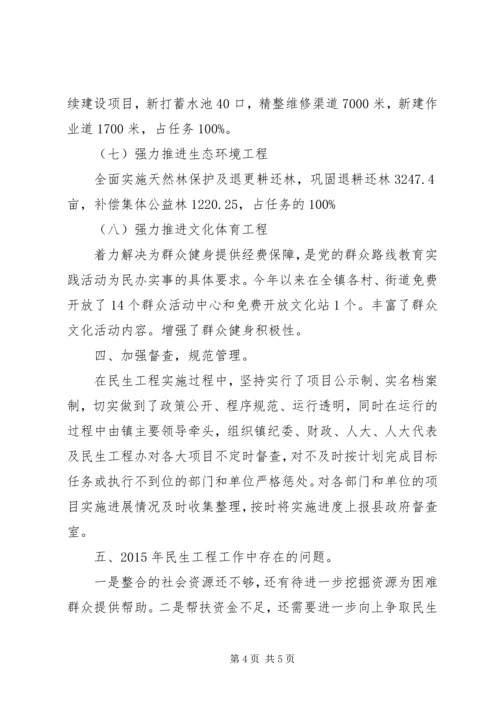 乡镇年度民生工程工作总结.docx