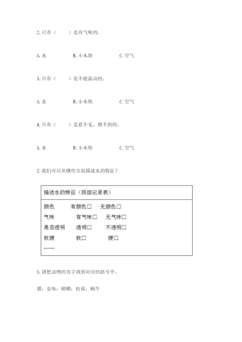 教科版一年级下册科学期末测试卷及参考答案（综合卷）.docx