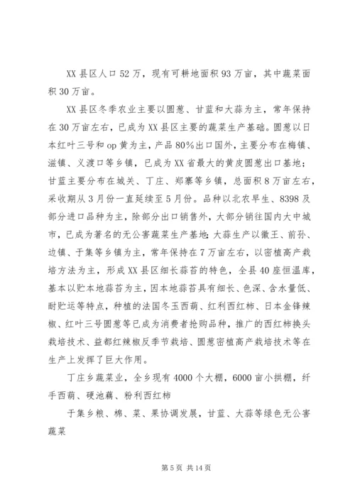 蔬菜大棚实施方案 (2).docx