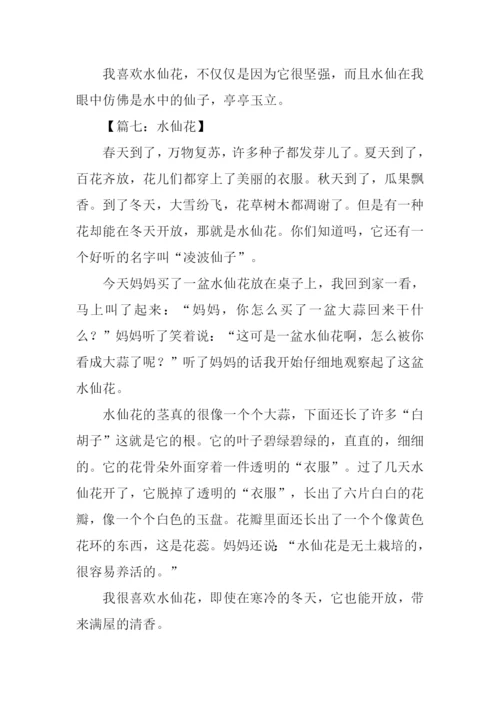 水仙花作文350字.docx