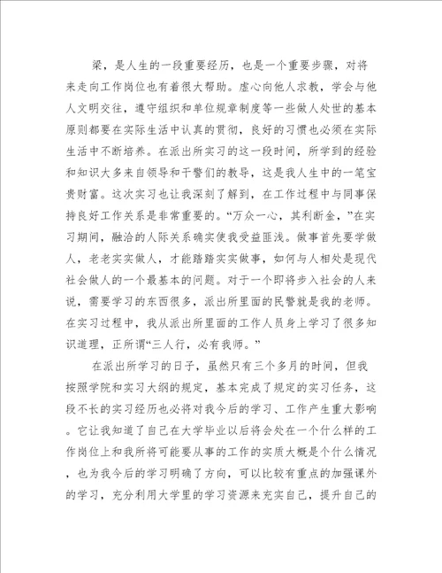 派出所个人实习工作总结大全