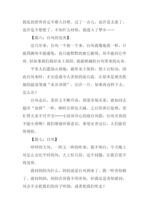 关于台风的作文300字.docx
