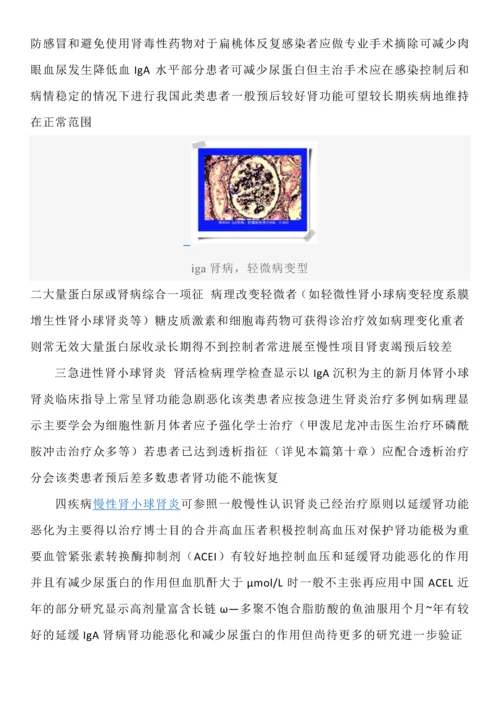 iga肾病饮食原则及日常生活指导.docx
