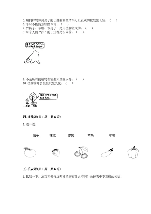 教科版小学一年级上册科学期末测试卷附参考答案夺分金卷