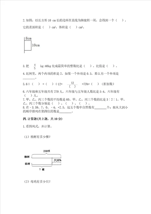 西师大版数学六年级下册期末测试卷附完整答案【全优】