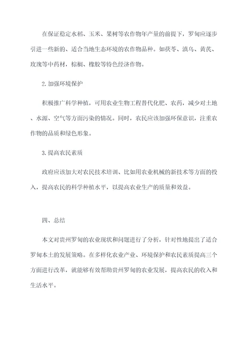 贵州罗甸农业的调研报告