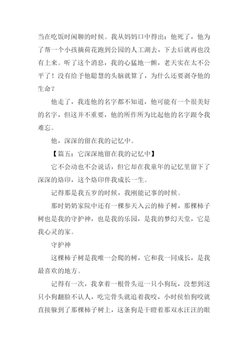 什么留在我的记忆中作文.docx