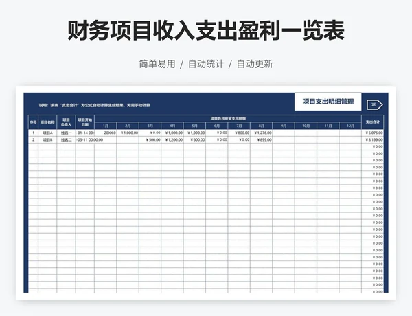 财务项目收入支出盈利一览表